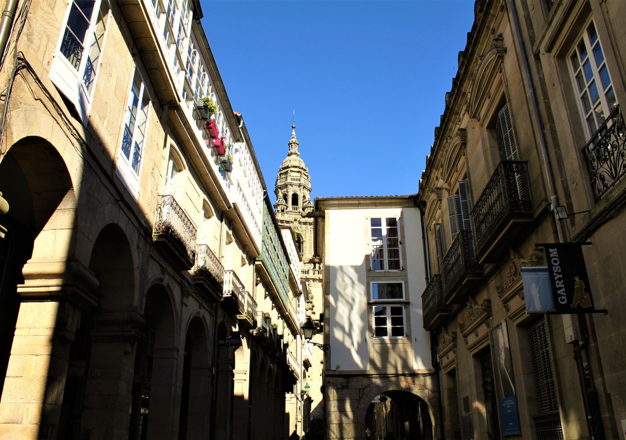 visitar tours Catedral de Santiago de compostela y su Museo